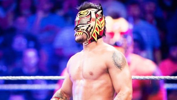 Lince Dorado